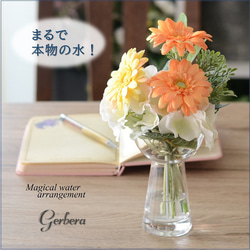 当日配達可【母の日】マジカルウォーター 光触媒 ガーベラ 人気