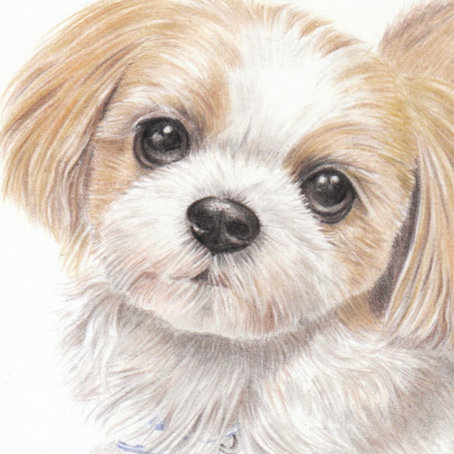 ペットの肖像画(2L)ペットの似顔絵、オーダーメイド 絵画
