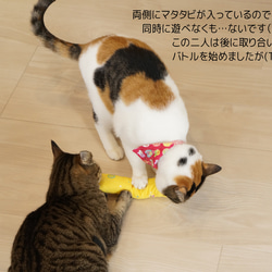 【マタタビかキャットニップ選べる】強力マタタビでハッスル★ひも付き小さめケリケリ（ねこブレッド） 10枚目の画像