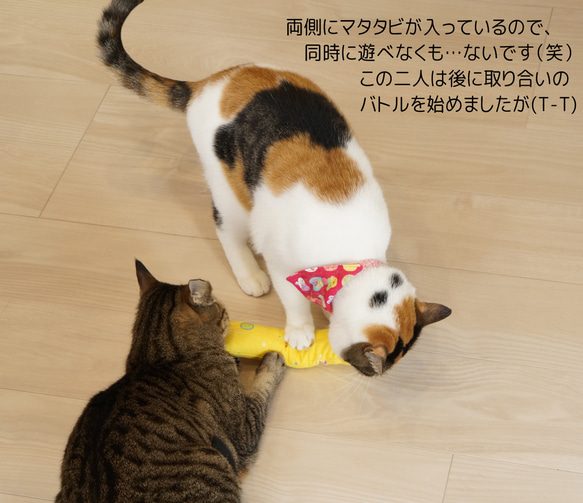 【マタタビかキャットニップ選べる】強力マタタビでハッスル★ひも付き小さめケリケリ（ねこブレッド） 10枚目の画像