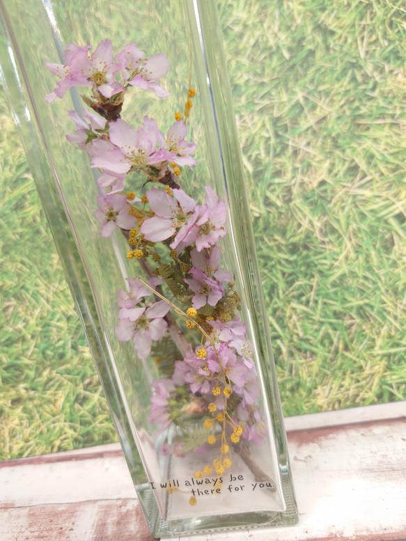 《送料無料》桜とミモザのドライフラワーボトル 2枚目の画像