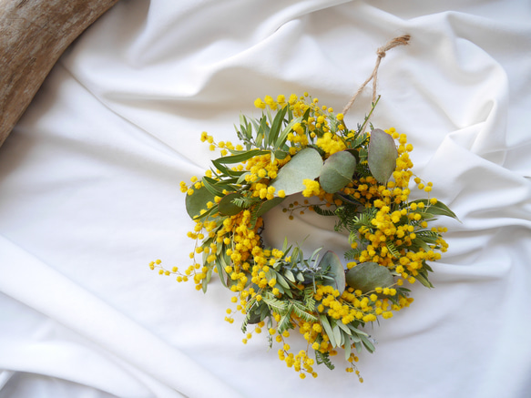 mimosaミモザリース