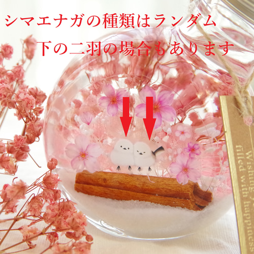 作りたて！再6 シマエナガのネモフィラセット】人気のミニボトル2色