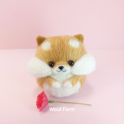 カーネーション柴犬(赤柴・白柴・黒柴) 母の日　～Wool Farm～　羊毛フェルト 7枚目の画像