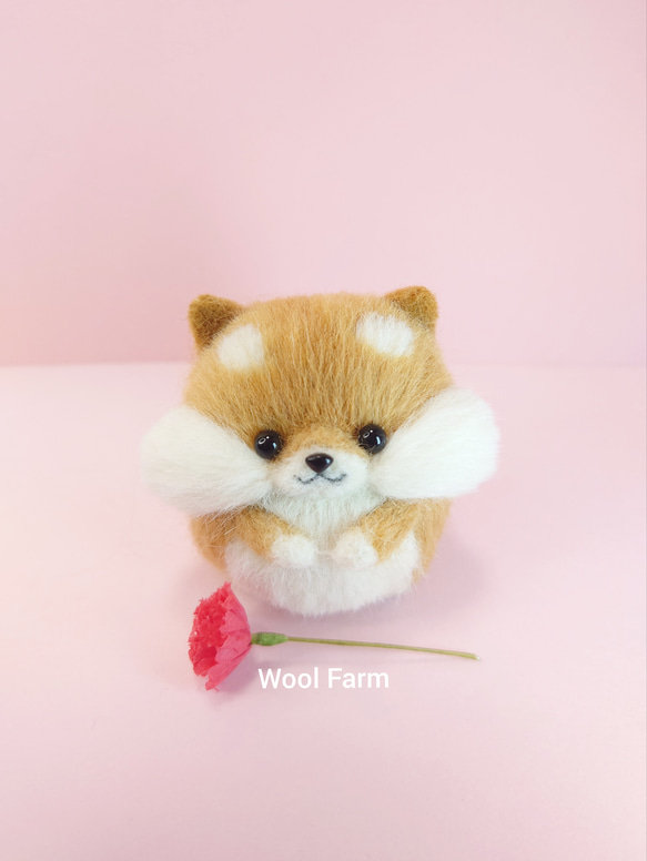 カーネーション柴犬(赤柴・白柴・黒柴) 母の日　～Wool Farm～　羊毛フェルト 7枚目の画像