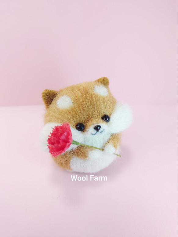 カーネーション柴犬(赤柴・白柴・黒柴) 母の日　～Wool Farm～　羊毛フェルト 3枚目の画像