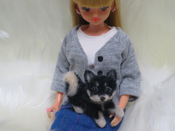 羊毛フェルト 犬 柴犬 豆柴 黒柴 ミニチュアドールハウス リカちゃん 