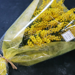 春を感じるふわふわ♪ミモザとユーカリの花束 1枚目の画像