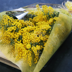 春を感じるふわふわ♪ミモザとユーカリの花束 2枚目の画像