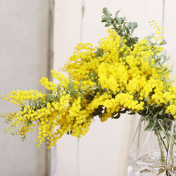 春を感じるふわふわ♪ミモザとユーカリの花束 6枚目の画像