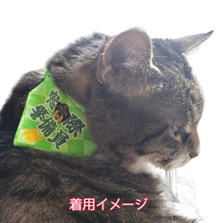 《猫用》バンダナ付首輪『わがままボディ』 8枚目の画像
