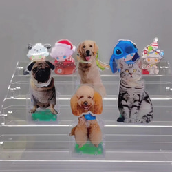 オーダーメイド お写真から 置物 ペット 愛犬 愛猫 動物 頭が動ける 車用 揺れる デスク インテリア 誕生日ギフト 5枚目の画像