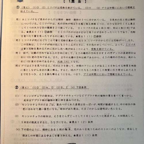 香蘭アヘッド教材 香蘭合格先行学習会 算数シリーズ ウルトラ