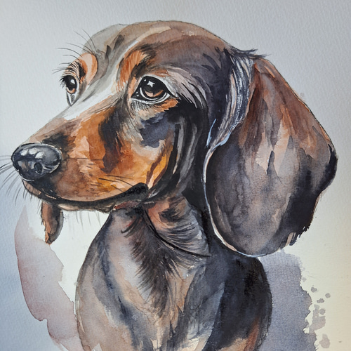 水彩画 ダックスフンド 絵画 makochin 通販 17417115｜Creema