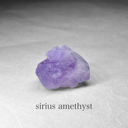 sirius amethyst / シリウスアメジスト H 1枚目の画像