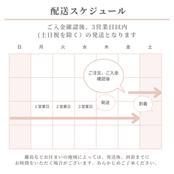  第11張的照片