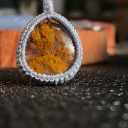 c3ad8658964be520d5d4e5f33ae59b