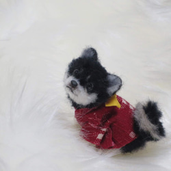 羊毛フェルト 犬 柴犬 豆柴 黒柴 絣柄の着物を着た柴犬ちゃん ミニチュアドールハウス 置物　 1枚目の画像