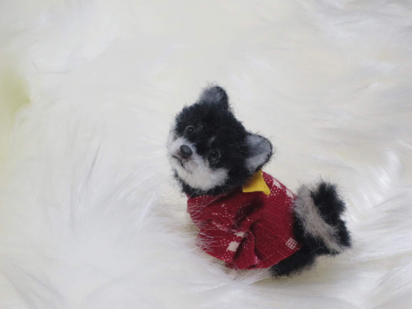 羊毛フェルト 犬 柴犬 豆柴 黒柴 絣柄の着物を着た柴犬ちゃん 
