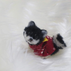 羊毛フェルト 犬 柴犬 豆柴 黒柴 絣柄の着物を着た柴犬ちゃん ミニチュアドールハウス 置物　 4枚目の画像