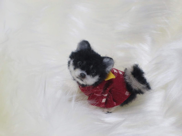 羊毛フェルト 犬 柴犬 豆柴 黒柴 絣柄の着物を着た柴犬ちゃん ミニチュアドールハウス 置物　 4枚目の画像