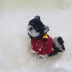 羊毛フェルト 犬 柴犬 豆柴 黒柴 絣柄の着物を着た柴犬ちゃん ミニチュアドールハウス 置物　 2枚目の画像