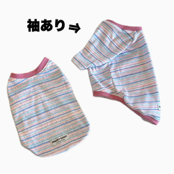 ロングスリーブ(P&B HORIZONTAL STRIPES) 3枚目の画像