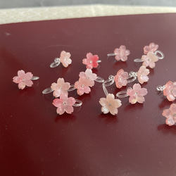 桜 ノンホールピアス 1枚目の画像