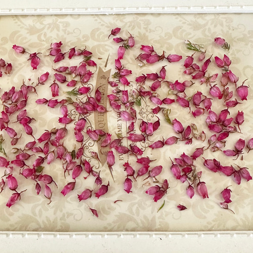 新種入荷❣️小さなぷっくり可愛いエリカパーツ❣️ハンドメイド花材  