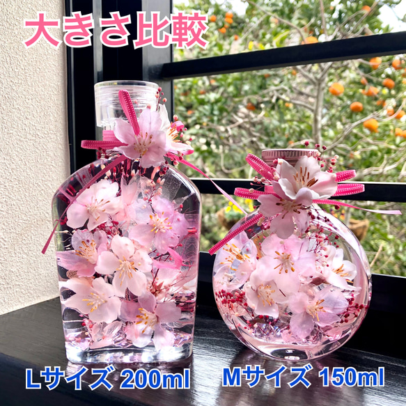 桜ハーバリウム　ウィスキー瓶 Lサイズ 7枚目の画像