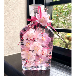 桜ハーバリウム　ウィスキー瓶 Lサイズ 1枚目の画像