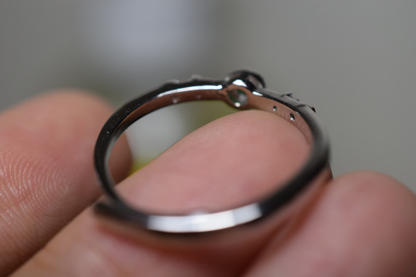 SR4-75 シルバー ミニ 陽緑 天然 本翡翠 リング 指輪 フリーサイズ 金属アレルギー対応 6枚目の画像