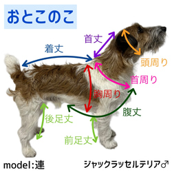 ヘキサゴンポップタンクロンパース…レトロポップ/レトロ/ポップ/タンク/ロンT/ロンパース/大型犬/中型犬/小型犬 12枚目の画像