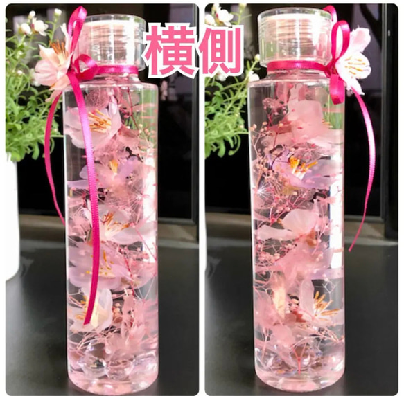 桜ハーバリウム　円柱瓶 Mサイズ 6枚目の画像
