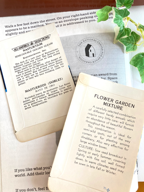 ヴィンテージ シードパッケージ 2枚 ＊花の種を入れる紙袋B＊ LONE STAR SEED Co. U.S.A. 2枚目の画像