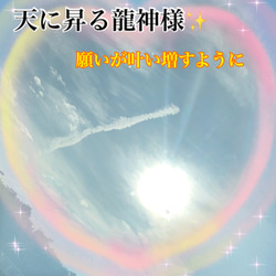 ランダム1体◆❖白蛇様の金☆運帯封御守り❖ 4枚目の画像