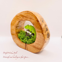 一つ限りの流木アート 枝にとまるカメレオン ジオラマ 流木 フィギュア 置物 インテリア レジン カメレオン N2 3枚目の画像