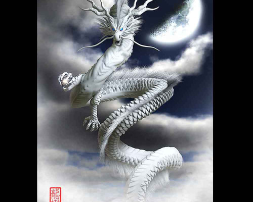 飛龍の絵 龍の絵「月と白龍」 | 龍の絵