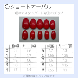 Y2Kネイルチップ 6枚目の画像