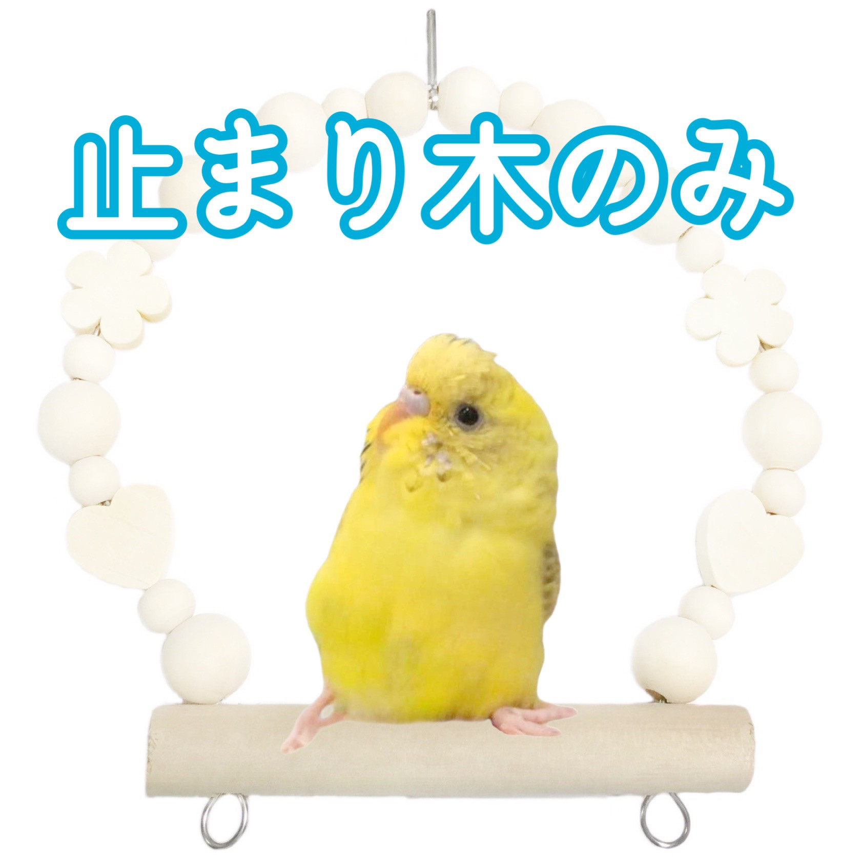 鳥用 綿ロープ製 止まり木 吊り下げ ブランコ インコ おもちゃ