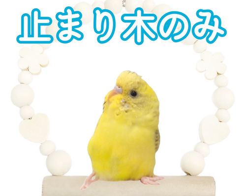 鳥ブランコおまとめ & リメイク & リメイク 鳥ブランコおまとめ