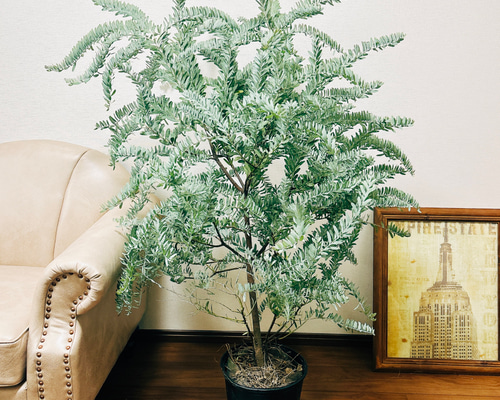 0a6ff8a98753e8f85aa09cf4b64a2d