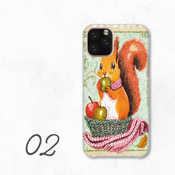 松鼠蘋果水果籃小動物智慧型手機保護殼相容於所有型號後背式硬殼 NLFT-HARD-a199 第4張的照片