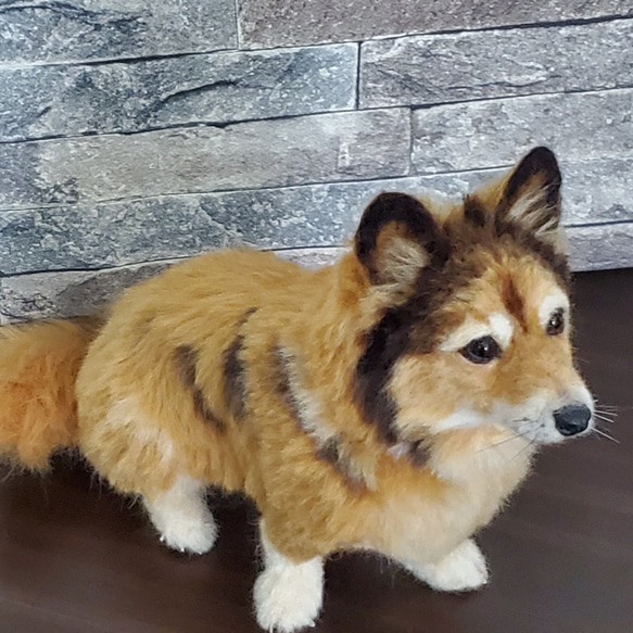 羊毛フェルトオーダーメイド、受注制作、羊毛フェルト犬、ペットロス 