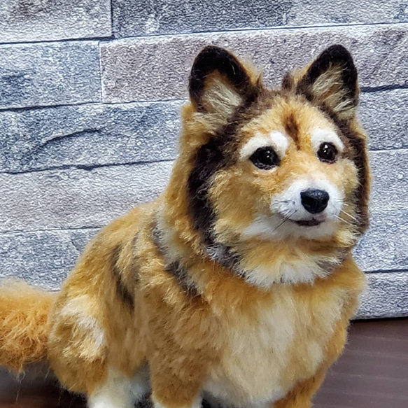 羊毛フェルトオーダーメイド、受注制作、羊毛フェルト犬、ペットロス 