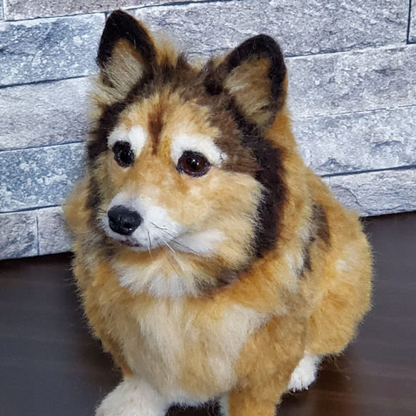 羊毛フェルトオーダーメイド、受注制作、羊毛フェルト犬、ペットロス 