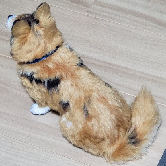 羊毛フェルトオーダーメイド、受注制作、羊毛フェルト犬、ペットロス 