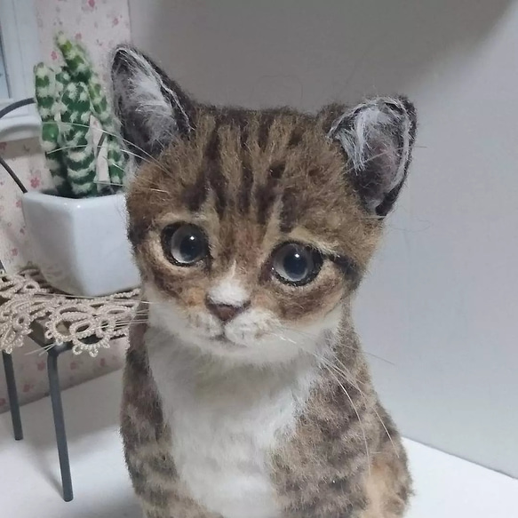 羊毛フェルトオーダーメイド、受注制作、羊毛フェルト犬、ペットロス、猫、リアル羊毛フェルト                                     このページからは、購入できません。カートに入れないで、 P2874227143(22080円)