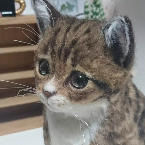 羊毛フェルトオーダーメイド、受注制作、羊毛フェルト犬、ペットロス、猫、リアル羊毛フェルト                                     このページからは、購入できません。カートに入れないで、 P2874227143(22080円)