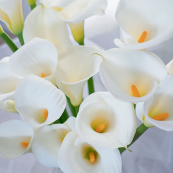 母の日【生花】カラー花束Lサイズ（５月上旬までの限定販売） 9枚目の画像